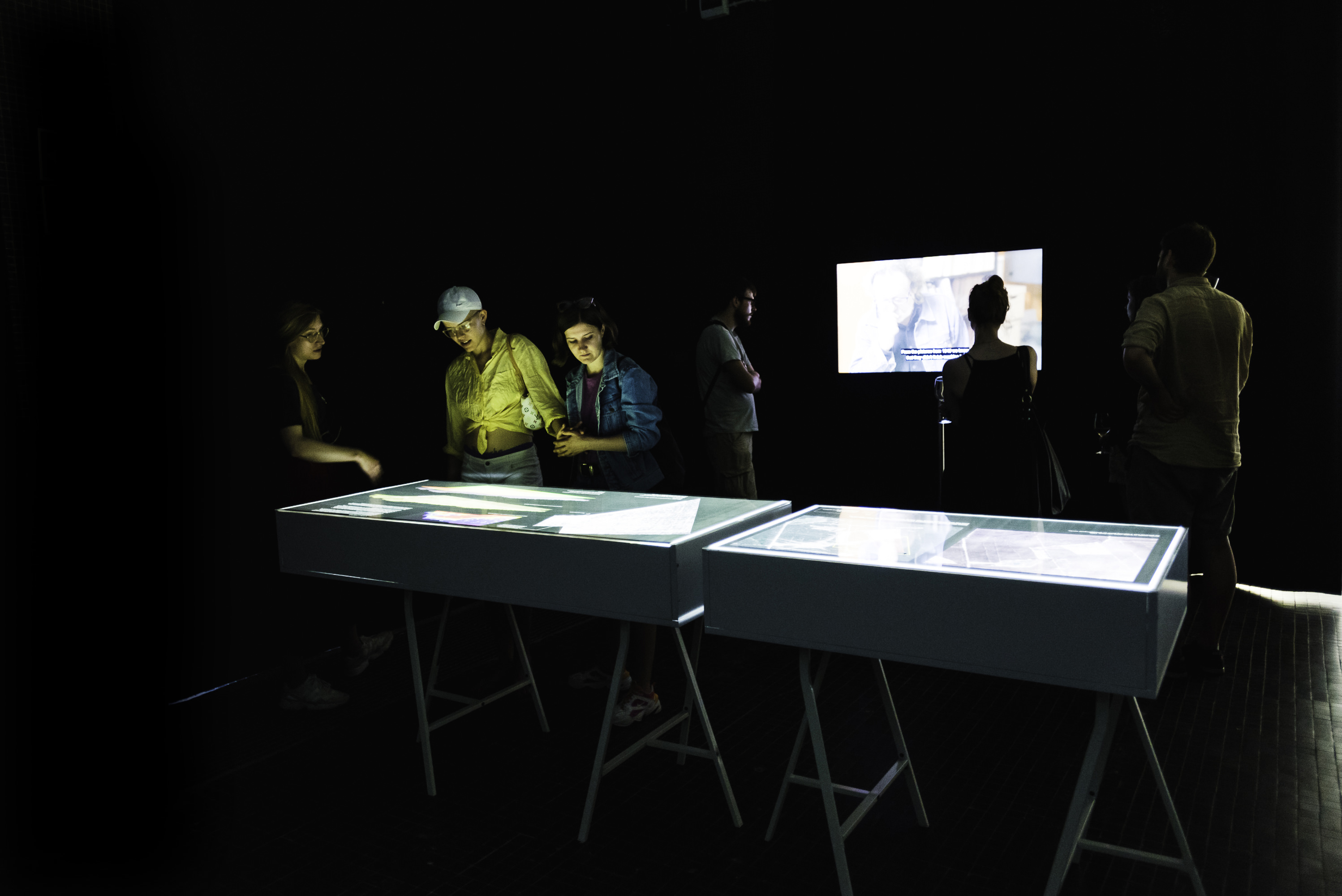 Installation. In a darkened room six people look at images in display cases or watch a video on the wall opposite us.