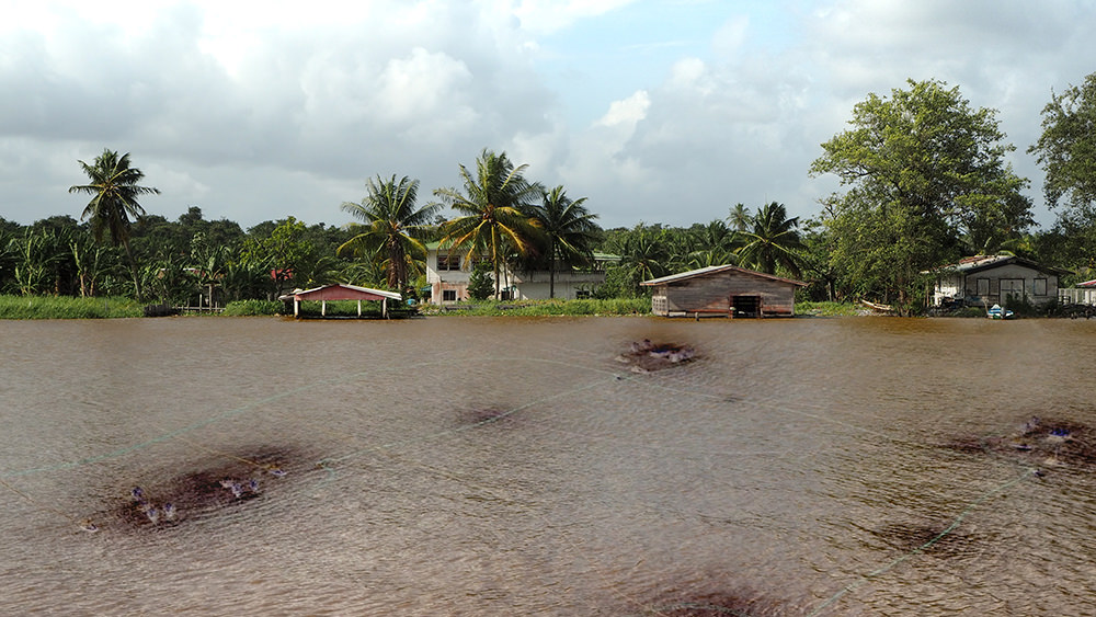 Video still. Muddy water floods a town so houses and palm trees are partially submerged. Dark spots in the water in front of us seem to be connected by faint green or yellow lines.