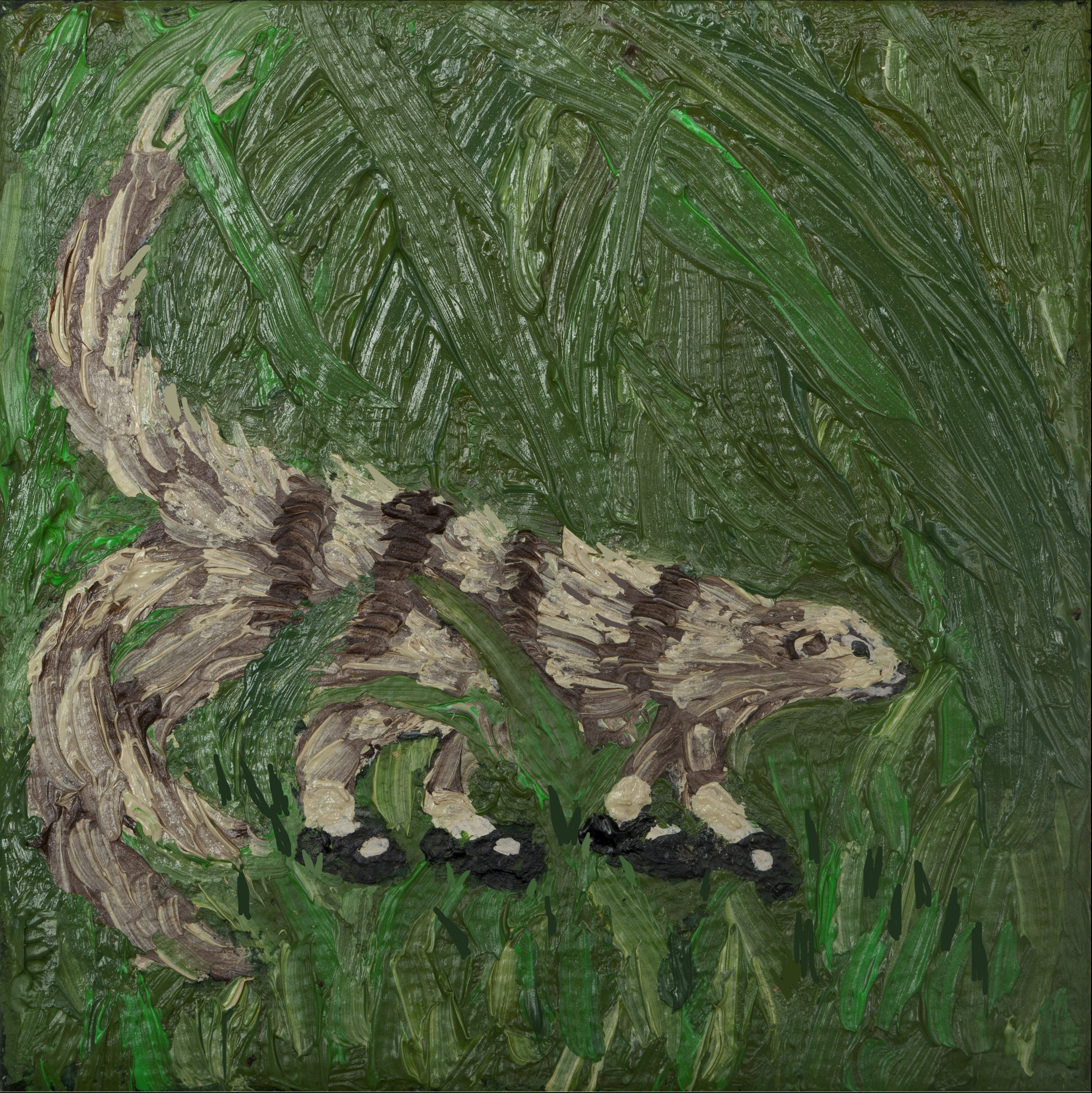 Painting. A loosely painted, striped mongoose with three bushy tails walks amid thickly textured green brushstrokes in this square composition. The mongoose wears four black Mary Jane-style shoes and white ankle socks.